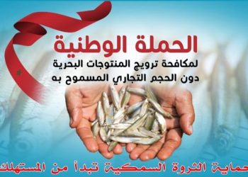 حملة مكافحة ترويج المنتوجات البحرية دون الحجم التجاري المسموح به تحط الرحال بالعيون