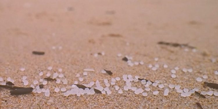 المنظمة البحرية الدولية تتبنى توصيات جديدة للنقل الآمن للكريات البلاستيكية على متن السفن