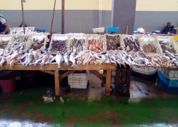 أسفي:الاضطرابات الجوي ترفع أسعار المنتوجات البحرية