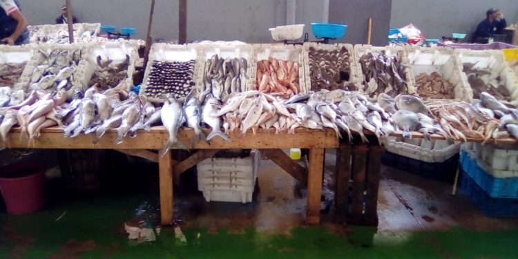 أسفي:الاضطرابات الجوي ترفع أسعار المنتوجات البحرية