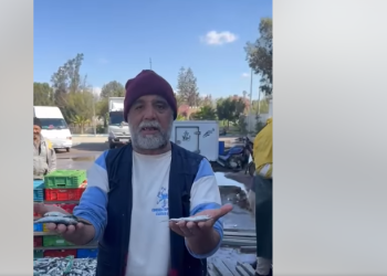 ميناء سيدي افني يغرق السوق الوطني بمنتوجات بحرية دون الحجم التجاري المسموح به.