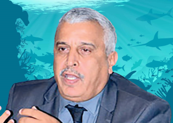 القصيري: غياب الالتقائية و الحكامة يعرقل انتقال المغرب نحو لاقتصاد الازرق