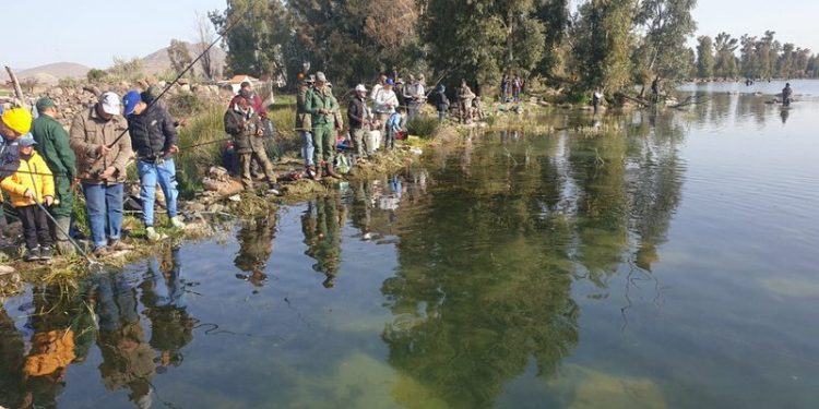 مجلس الحكومة يحدد صلاحيات “المجلس الوطني للصيد”