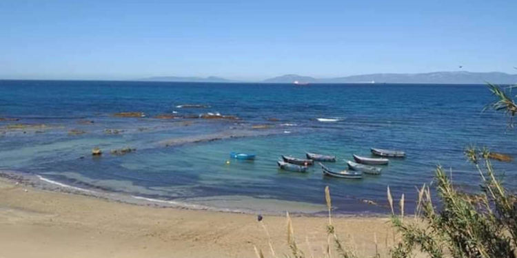 مهنيو الصيد البحري بديكي يتطلعون لإحداث نقطة تفريغ مجهزة.