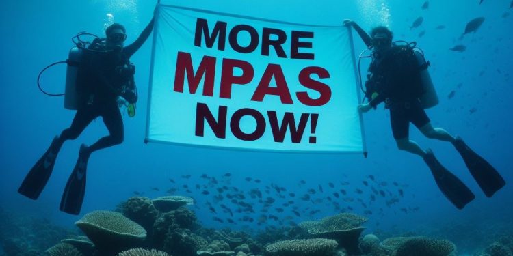 دراسة: المحميات البحرية تفقد النجاعة دون إدارة فعالة، وتصميم صديق للمناخ.
