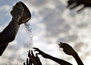 الفاو33 : غالبية البلدان الافرقية لم تحرز تقدماً نحو تحقيق الأمن الغذائي