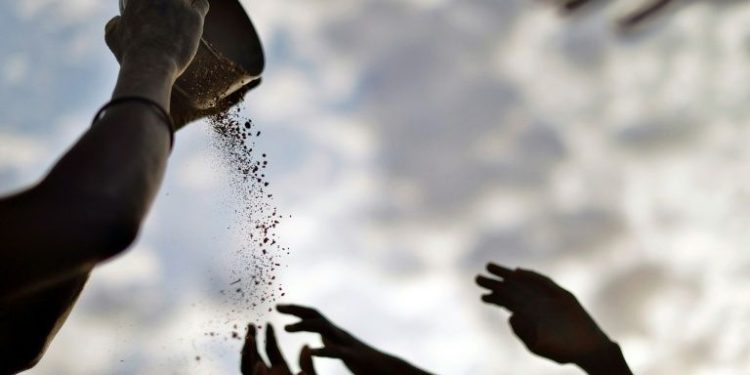 الفاو33 : غالبية البلدان الافرقية لم تحرز تقدماً نحو تحقيق الأمن الغذائي