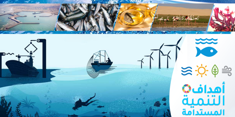 طرفاية الخاملة تتطلع للتحول الى منصة واعدة للإقتصاد الأزرق.