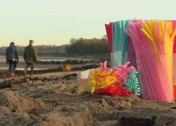 تقرير يرصد وجود 8.3 مليار “شفاطة بلاستيكية” على الشواطئ في جميع أنحاء العالم