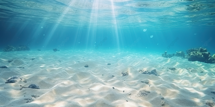 مجلس الحكومة يطلع على اتفاقية لحفظ التنوع البيولوجي البحري خارج حدود الولاية الوطنية