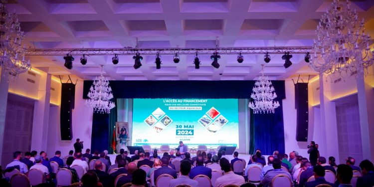 فرص التمويل لتعزيز تنافسية قطاع تربية الأحياء البحرية بالمغرب
