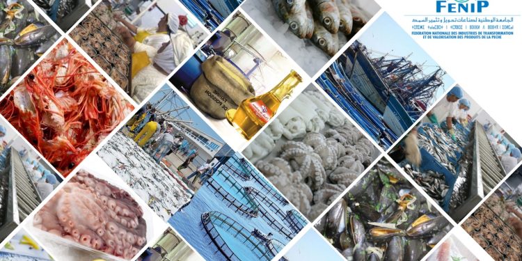 في ظل تراجع الموارد البحرية، الFENIP تتعبأ لمواجهة الظاهرة