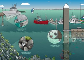 إطلاق مشروع TEST Biofouling لمعالجة نقل الأنواع الغازية عبر هياكل السفن