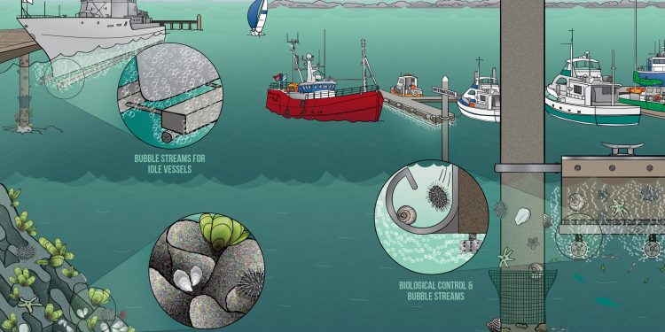 إطلاق مشروع TEST Biofouling لمعالجة نقل الأنواع الغازية عبر هياكل السفن