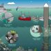 إطلاق مشروع TEST Biofouling لمعالجة نقل الأنواع الغازية عبر هياكل السفن
