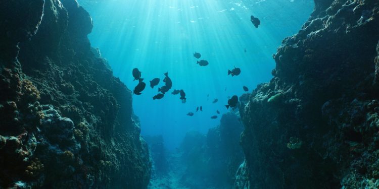 الاقتصاد الازرق:تمويلات بالملايير في غياب عدالة نحو الدول النامية