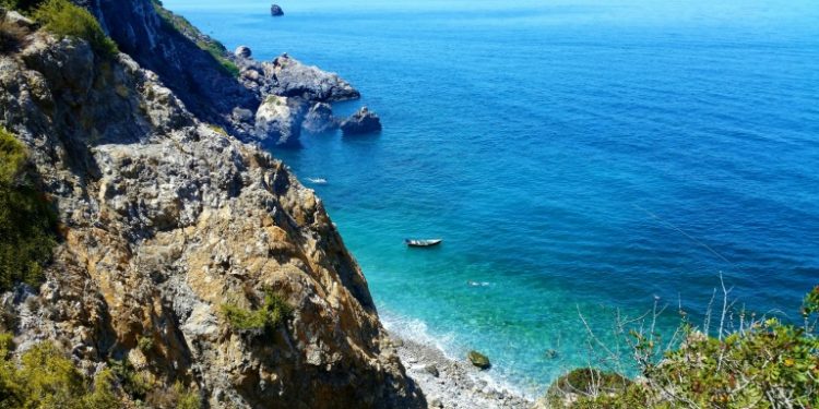 لأول مرة…دراسة علمية تكشف عن الحالة الصحية للنباتات البحرية بساحل الحسيمة