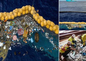 منظمة The Ocean Cleanup تستكمل لاستخراج النفايات البلاستيكية
