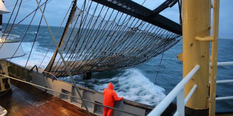 الحكومة الهولندية تطالب برفع الحظر عن تقنية”صيد الأسماك بالنبضات الكهربائية”