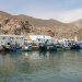 رجال البحر بالحسيمة يحركون الملفات الراكدة مع إدارة الصيد البحري