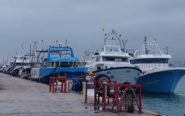 المفوضية الاوربية تطرح عشر فرص للصيد في البحر الأبيض المتوسط ​​والبحر الأسود خلال2025