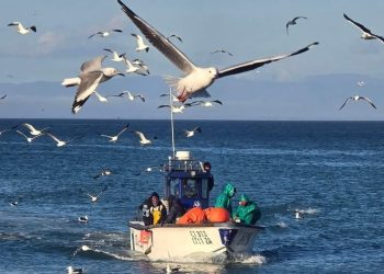 65000 بحارا يستفيدون من دعم الصندوق الدولي للسلامة في الصيد البحري