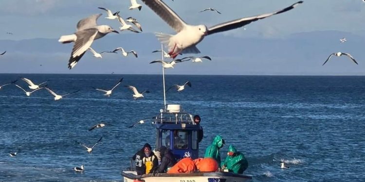 65000 بحارا يستفيدون من دعم الصندوق الدولي للسلامة في الصيد البحري