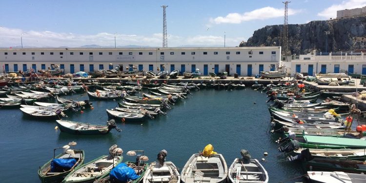 ميناء الحسيمة: مطالب مهنية بإعفائهم من الديون المتراكمة عن استغلال المحلات