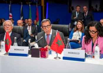 عبد اللطيف هلال: “قوة العمل الجماعي ، التي تركز على التعاون بين بلدان الجنوب”