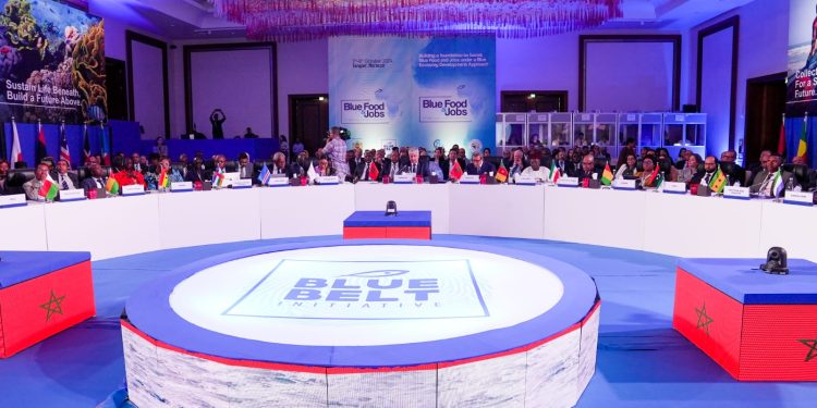 محمد صديقي: “وحدنا نسير بشكل أسرع و معًا، نمضي قدمًا”.