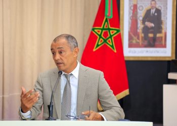 المجلس الاقتصادي والاجتماعي والبيئي يقدم تقريرا عن قطاع صناعة السفن