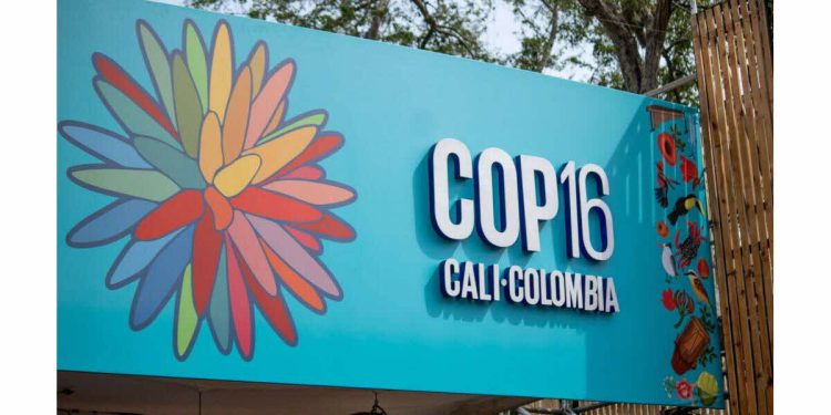 اتفاقية التنوع البيولوجي (COP16) و تحديات المحيطات
