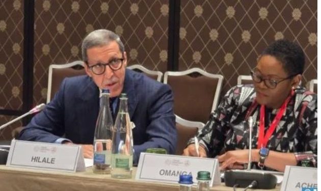 عمر هلال:الأمن الغذائي في إفريقيا، أولوية استراتيجية لجلالة الملك