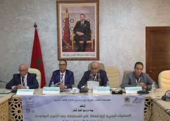 طانطان: أشغال يوم دراسي حول المحميات البحرية تختتم بالإعلان عن إحداث منطقة بحرية محية