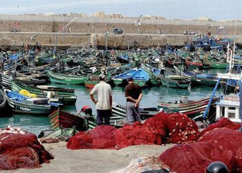 اسفي:قبطانية الميناء تشن حملة ضد مظاهر الفوضى و العشوائية