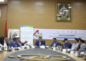ندوة جهوية بالداخلة حول المؤهلات التنموية والتحديات البيئية لخليج وادي الذهب