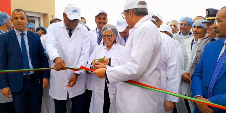 الداخلة: زكية الدريوش تشرف على تدشين وحدة لتصبير السمك.
