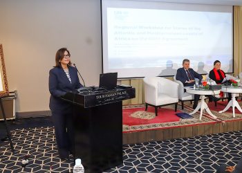 الدريوش تبرز جهود المغرب بقيادة جلالة الملك لتكريس رؤية إفريقية موحدة بشأن اتفاق  BBNJ (BBNJ)