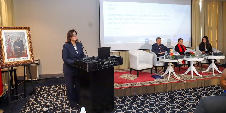 الدريوش تبرز جهود المغرب بقيادة جلالة الملك لتكريس رؤية إفريقية موحدة بشأن اتفاق  BBNJ (BBNJ)