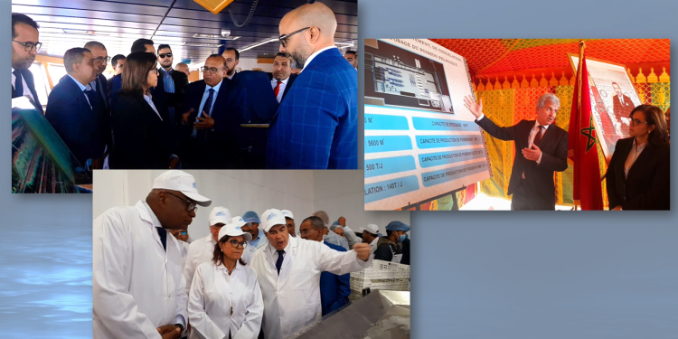 بعد زيارة الدريوش للداخلة، ال COMAIP تؤكد انخراطها الفعلي في العملية التنموية بالأقاليم الجنوبية