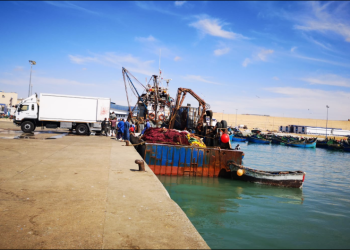 ميناء بوجدور يعود الى الواجهة، و مطالب مهنية بفض الاحتكار