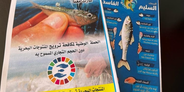 تزامنا مع شهر رمضان ، مؤسسة المغرب الأزرق تطلق حملة مكافحة ترويج المنتوجات البحرية دون الحجم التجاري المسموح به.