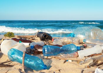 مجلس حقوق الإنسان التابع للأمم المتحدة يتبنى قرارًا بشأن حق الإنسان في بيئة بحرية سليمة
