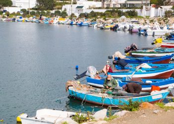 كينيا تحتضن اشغال للجنة الفرعية الحكومية الدولية لعلوم المحيطات