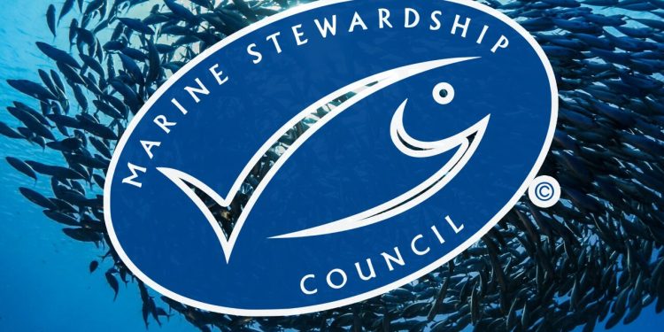 السردين البرتغالي يحظى باعتراف عالمي و يتوج بـ “الوسم الأزرق” للاستدامة