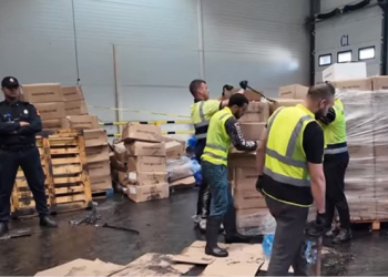 إحباط تهريب أطنان من “المخدرات” داخل شحنة أسماك مجمدة بميناء طنجة