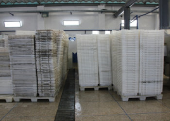 اجتماع هام بمقر المكتب الوطني للصيد لمناقشة تدبير الصناديق البلاستيكية المستعملة لشحن السمك السطحي.