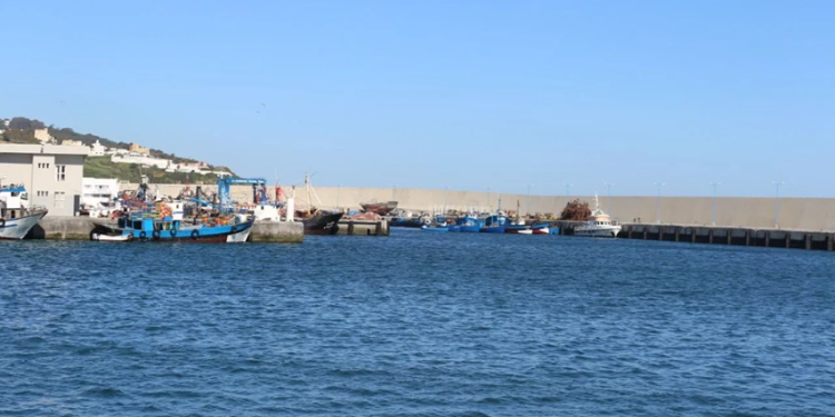 ورشات دولية بروما لتقييم مخزونات الصيد بالبحر الأبيض المتوسط