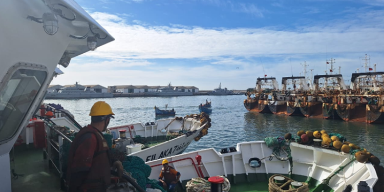 أكادير :استعدادات متواصلة لسفن الصيد لانطلاق موسم الأخطبوط الشتوي 2026..  في أعالي البحار