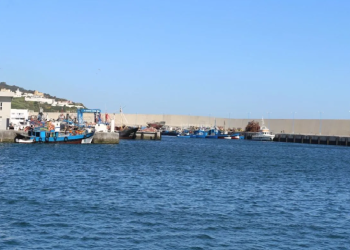 اللجنة العامة لمصايد الأسماك تعتمد حزمة قرارات جديدة لتنظيم الصيد البحري وتعزيز الاستدامة بالمتوسط والبحر الأسود